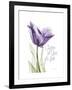 Your Heart Tulip-Albert Koetsier-Framed Art Print