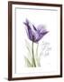 Your Heart Tulip-Albert Koetsier-Framed Art Print