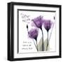 Your Love, Purple Tulip-Albert Koetsier-Framed Art Print