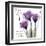 Your Love, Purple Tulip-Albert Koetsier-Framed Art Print