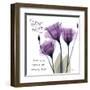 Your Love, Purple Tulip-Albert Koetsier-Framed Art Print