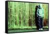 Youth Crime-Kevin Curtis-Framed Stretched Canvas