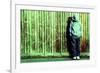 Youth Crime-Kevin Curtis-Framed Photographic Print