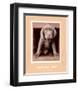 Youth Gone Wild-Rachael Hale-Framed Premium Giclee Print