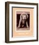 Youth Gone Wild-Rachael Hale-Framed Premium Giclee Print