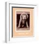 Youth Gone Wild-Rachael Hale-Framed Premium Giclee Print