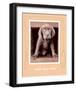 Youth Gone Wild-Rachael Hale-Framed Premium Giclee Print