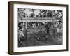 Youth of the Peace Corps Trainees Holding a Limbo Contest-null-Framed Photographic Print