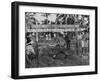 Youth of the Peace Corps Trainees Holding a Limbo Contest-null-Framed Photographic Print