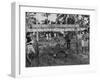 Youth of the Peace Corps Trainees Holding a Limbo Contest-null-Framed Photographic Print