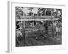 Youth of the Peace Corps Trainees Holding a Limbo Contest-null-Framed Photographic Print