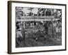 Youth of the Peace Corps Trainees Holding a Limbo Contest-null-Framed Photographic Print