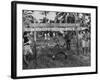 Youth of the Peace Corps Trainees Holding a Limbo Contest-null-Framed Photographic Print