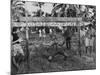 Youth of the Peace Corps Trainees Holding a Limbo Contest-null-Mounted Photographic Print