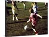 Youth Soccer-null-Stretched Canvas