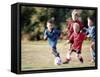 Youth Soccer-null-Framed Stretched Canvas