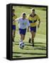 Youth Soccer-null-Framed Stretched Canvas