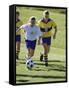 Youth Soccer-null-Framed Stretched Canvas