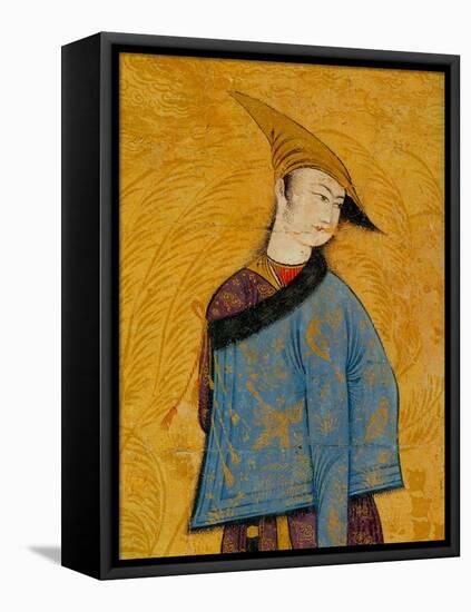 Youth Wearing a Short Fur-Lined Coat over His Shoulder, 1640S-Muhammad Yusuf-Framed Stretched Canvas