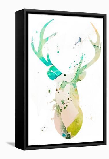 Youthful Deer II-Susan Bryant-Framed Stretched Canvas