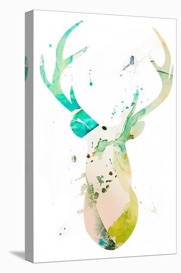 Youthful Deer II-Susan Bryant-Stretched Canvas