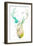 Youthful Deer II-Susan Bryant-Framed Art Print