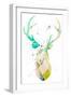 Youthful Deer II-Susan Bryant-Framed Art Print