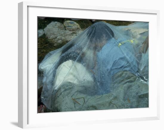 Youths Huddled under a Piece of Clear Plastic in the Rain, Woodstock Music and Art Fair-John Dominis-Framed Photographic Print