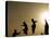 Youths Play on a Trampoline at Sunset in the Neighborhood of Islamabad, Pakistan-null-Stretched Canvas