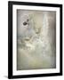 Yoveo-Lynne Davies-Framed Photographic Print