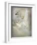 Yoveo-Lynne Davies-Framed Premium Photographic Print