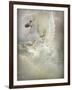 Yoveo-Lynne Davies-Framed Photographic Print