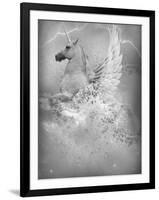 Yoveo-Lynne Davies-Framed Photographic Print