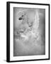 Yoveo-Lynne Davies-Framed Photographic Print