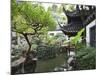 Yu Gardens (Yuyuan Gardens), the Restored 16th Century Gardens are One of Shanghai's Most Popular T-Amanda Hall-Mounted Photographic Print