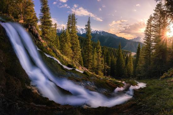 Photographic Print, , large