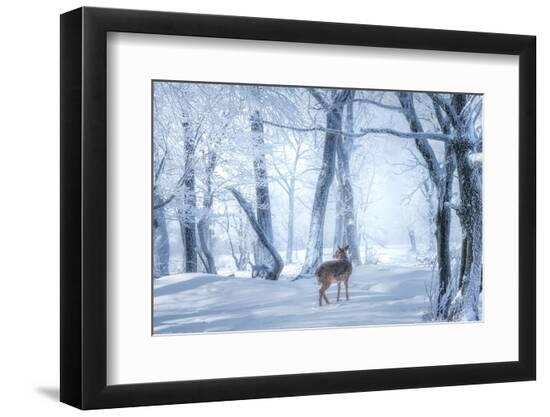 Premium Photographic Print, , large