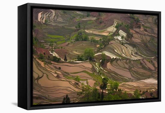 Yuang Yang-Art Wolfe-Framed Stretched Canvas