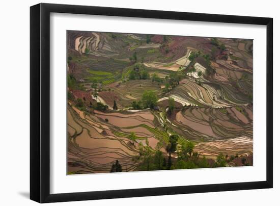 Yuang Yang-Art Wolfe-Framed Photographic Print