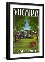 Yucaipa, California - Apple Orchard Harvest-Lantern Press-Framed Art Print