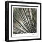 Yucca 12-Ken Bremer-Framed Limited Edition