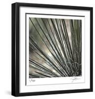 Yucca 12-Ken Bremer-Framed Limited Edition