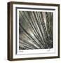 Yucca 12-Ken Bremer-Framed Limited Edition