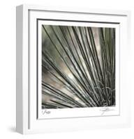 Yucca 12-Ken Bremer-Framed Limited Edition