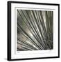 Yucca 12-Ken Bremer-Framed Limited Edition