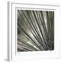 Yucca 12-Ken Bremer-Framed Limited Edition