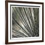 Yucca 12-Ken Bremer-Framed Limited Edition