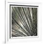 Yucca 12-Ken Bremer-Framed Limited Edition