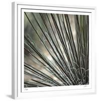 Yucca 12-Ken Bremer-Framed Limited Edition