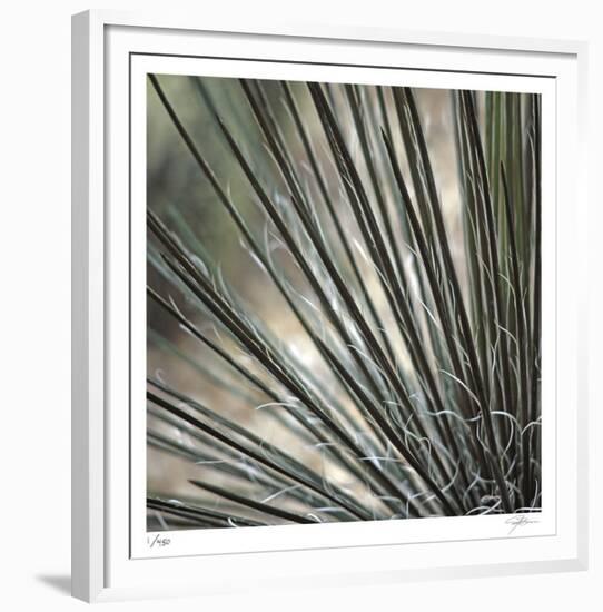 Yucca 12-Ken Bremer-Framed Limited Edition